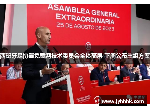 西班牙足协罢免裁判技术委员会全体高层 下周公布重组方案 西班牙足协罢免裁判技术委员会全体高层 下周公布重组方案